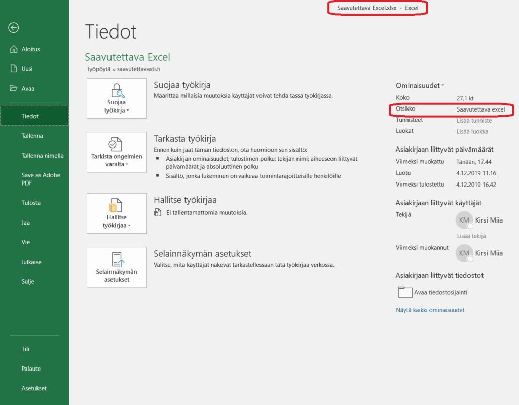 Ruutukaappaus Excelin Tiedosto-välilehdestä.
