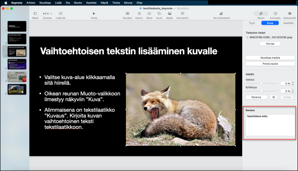 Ruutukaappaus Keynoten näkymästä, jossa kuvalle voi lisätä vaihtoehtoisen tekstin.